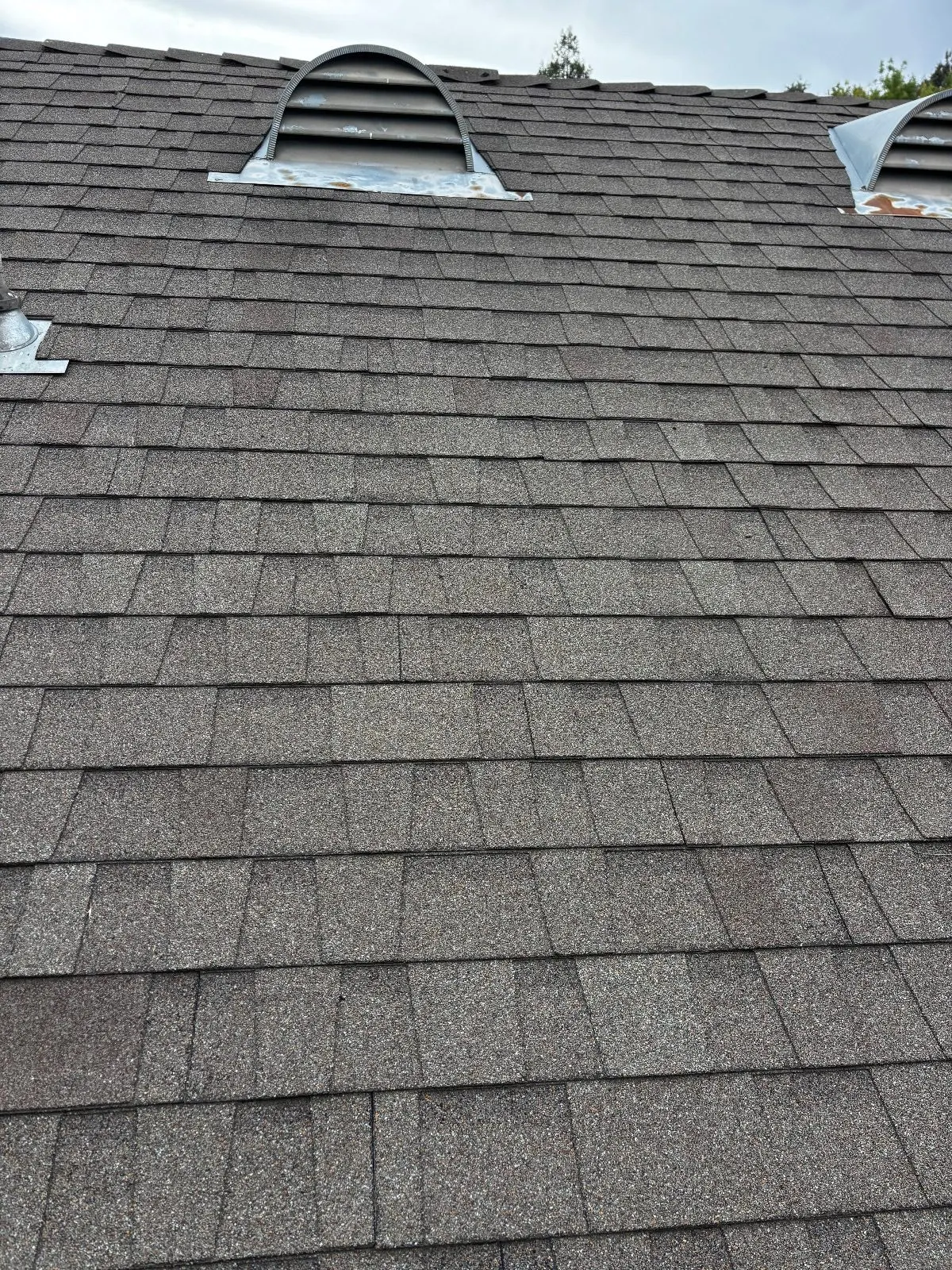 After — Roof Cleaning in Antelope, CA — September 2026