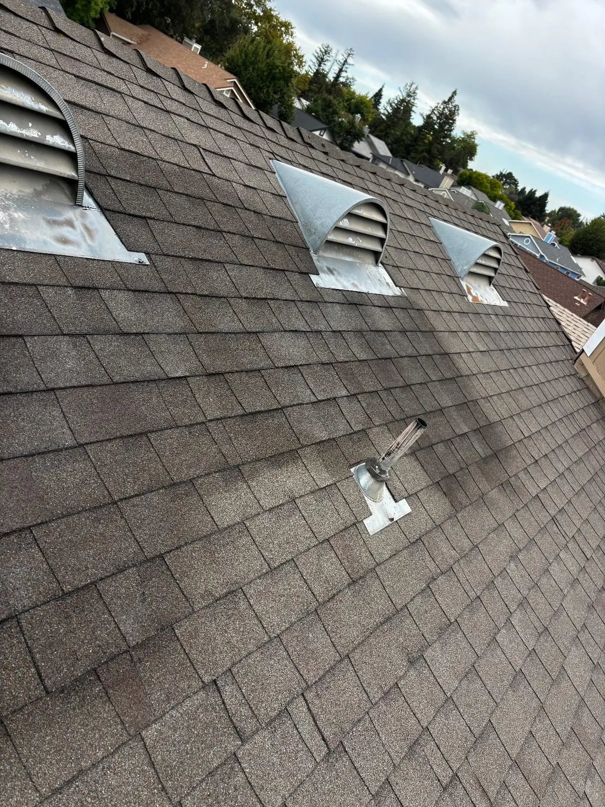 After — Roof Cleaning in Antelope, CA — September 2026
