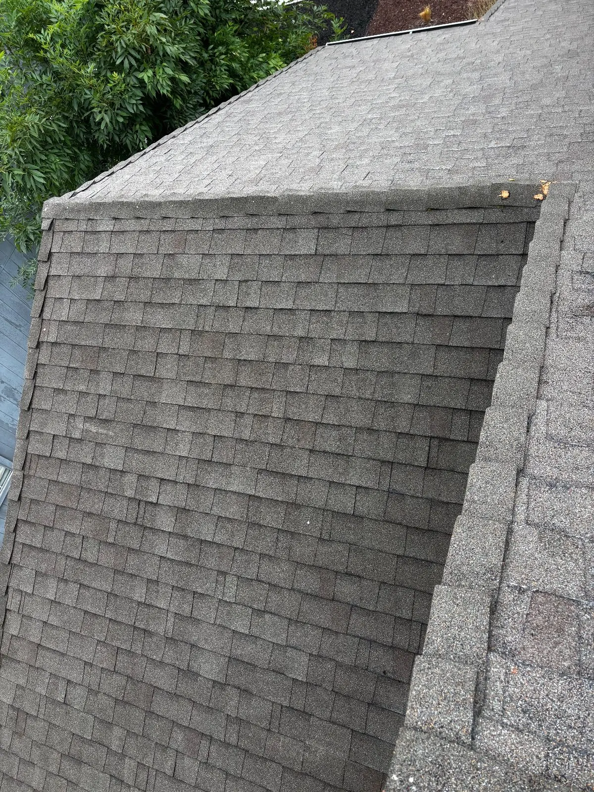After — Roof Cleaning in Antelope, CA — September 2026