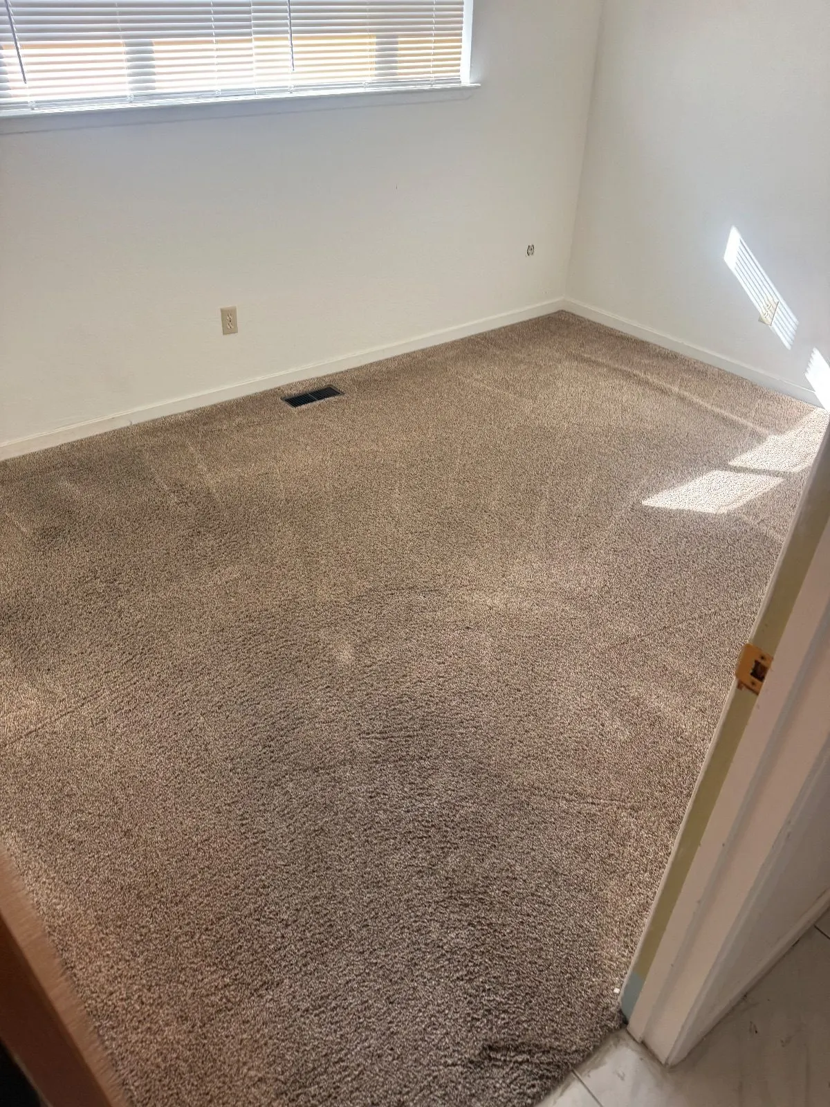 After — Carpet Cleaning in Carmichael, CA — September 2026