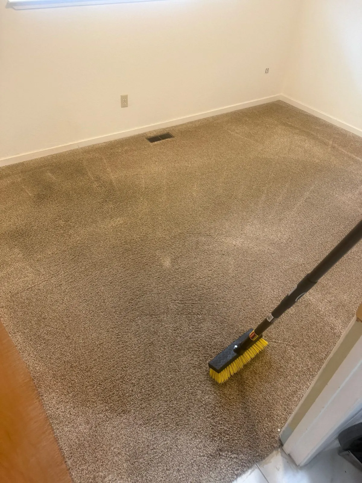After — Carpet Cleaning in Carmichael, CA — September 2026