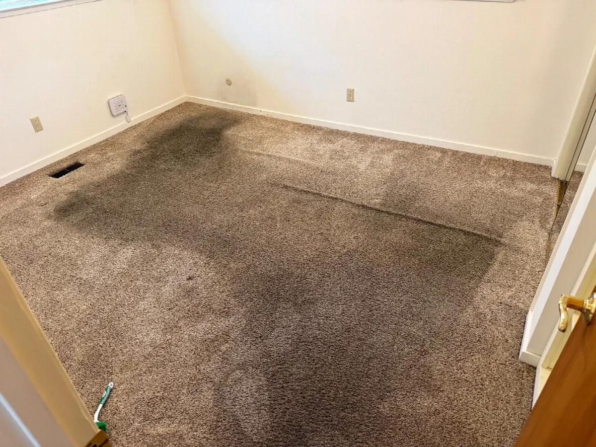 Before — Carpet Cleaning in Carmichael, CA — September 2026