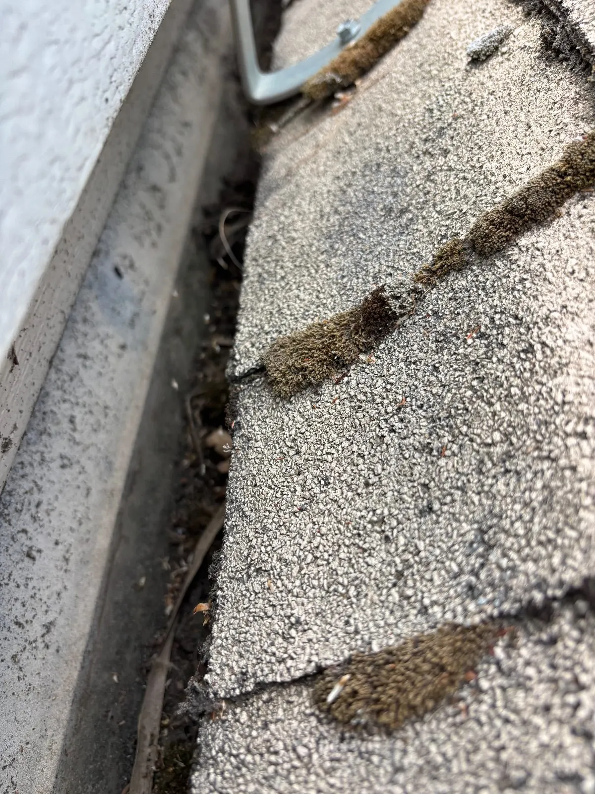 Before — Gutter Cleaning and Maintenance in Woodland, CA — July 2026