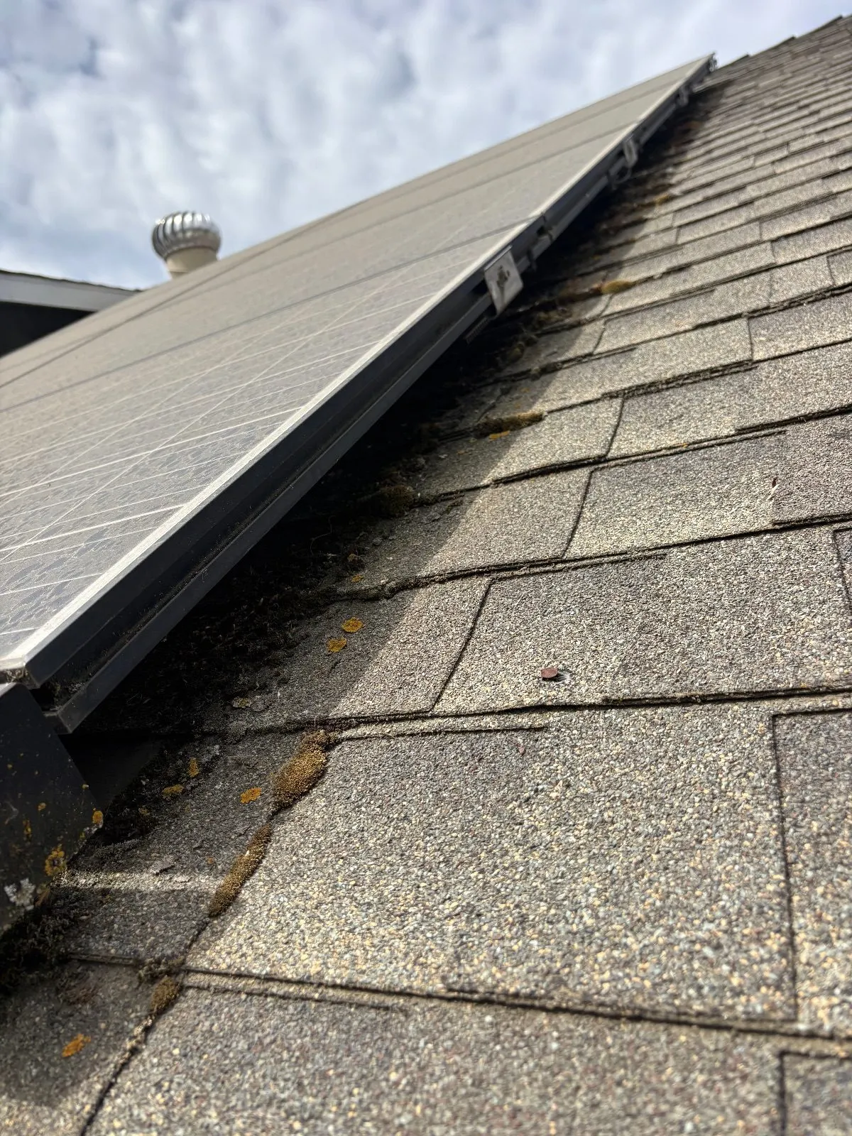 Before — Gutter Cleaning and Maintenance in Woodland, CA — July 2026