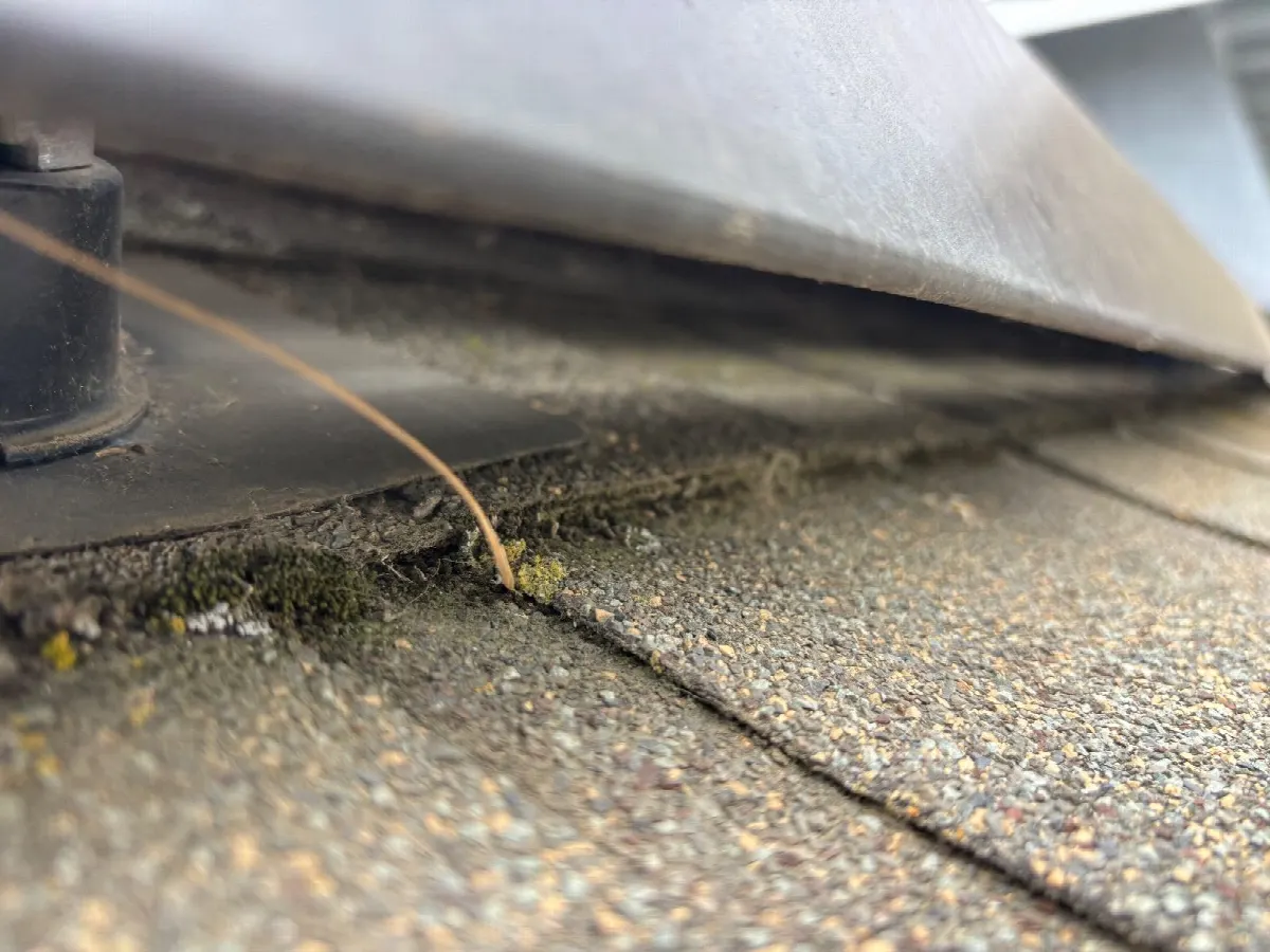 Before — Gutter Cleaning and Maintenance in Woodland, CA — July 2026