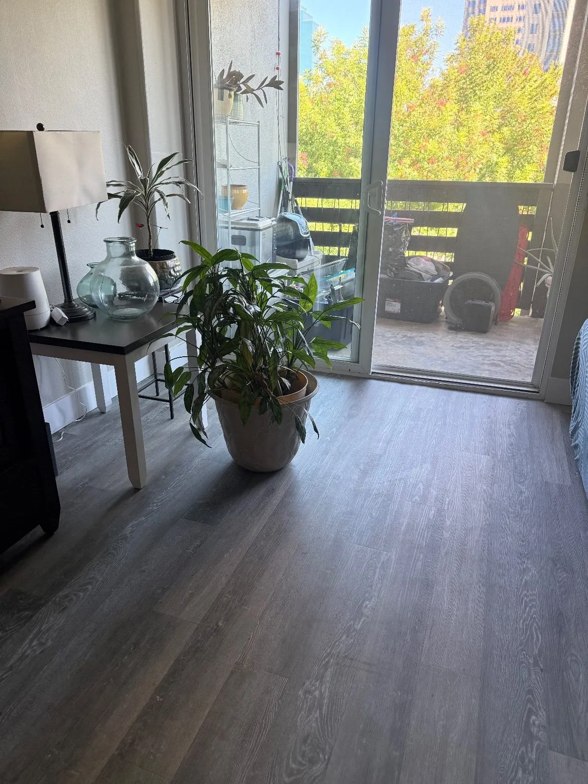Before — House Cleaning in Sacramento, CA — September 2026