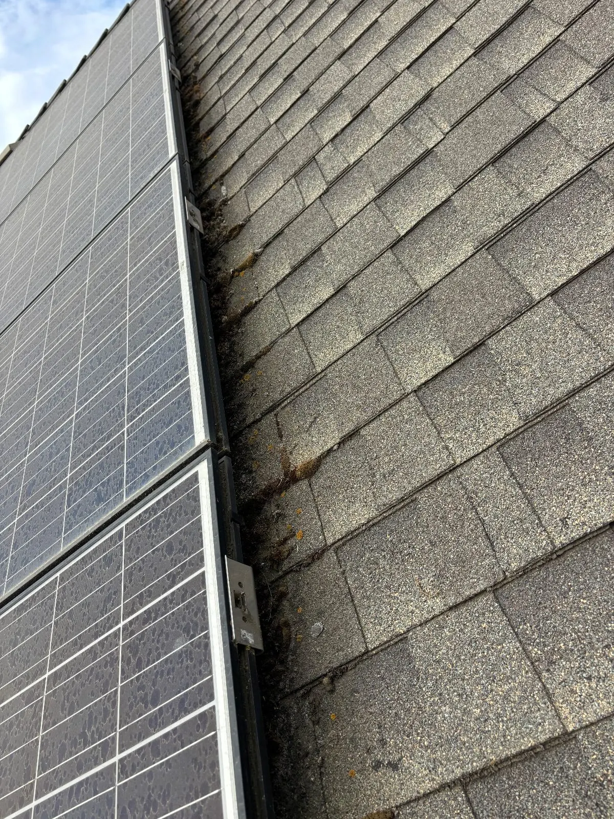 Before — Gutter Cleaning and Maintenance in Woodland, CA — July 2026