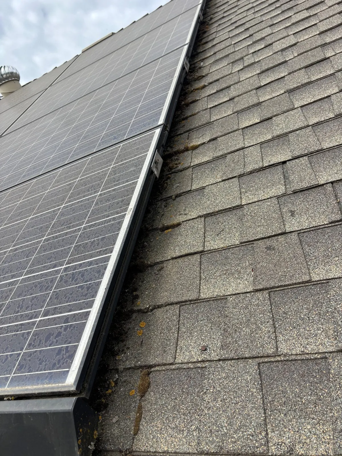 Before — Gutter Cleaning and Maintenance in Woodland, CA — July 2026