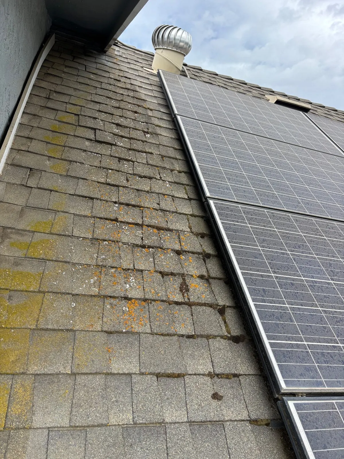 Before — Gutter Cleaning and Maintenance in Woodland, CA — July 2026