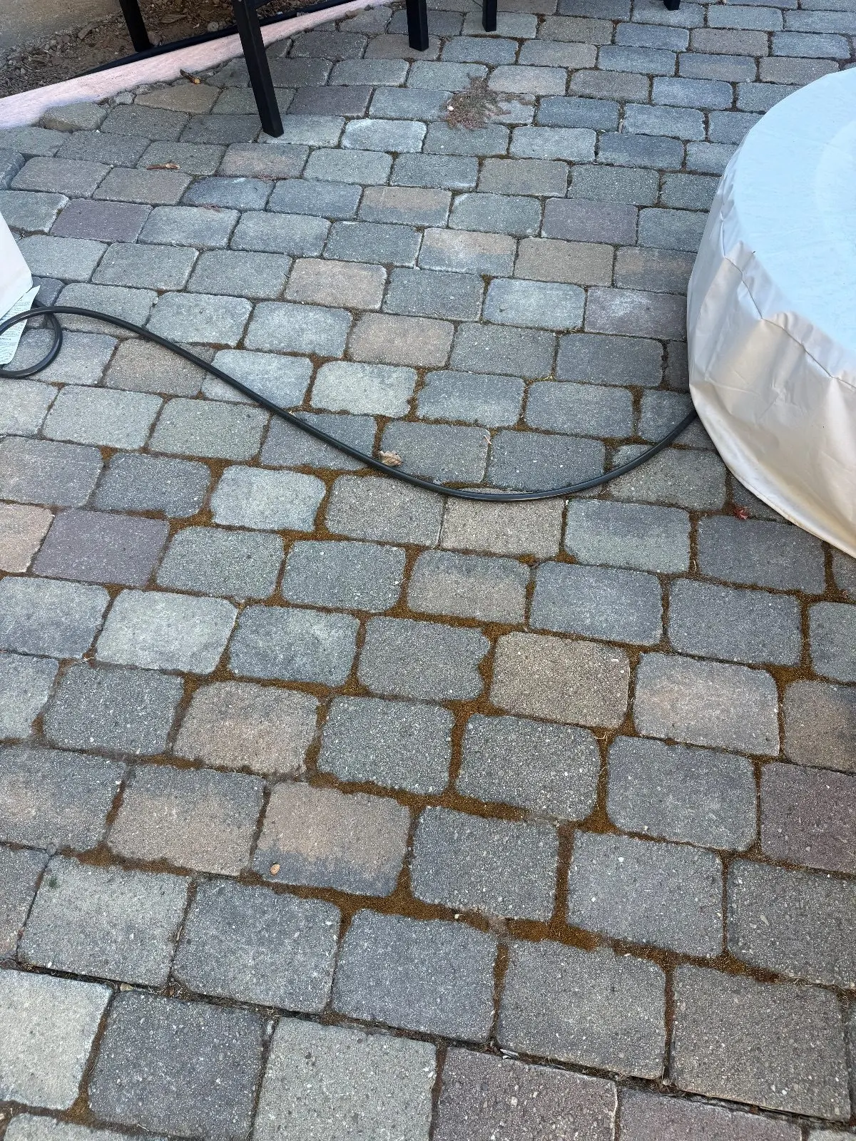 Before — Pressure Washing in Auburn, CA — September 2026