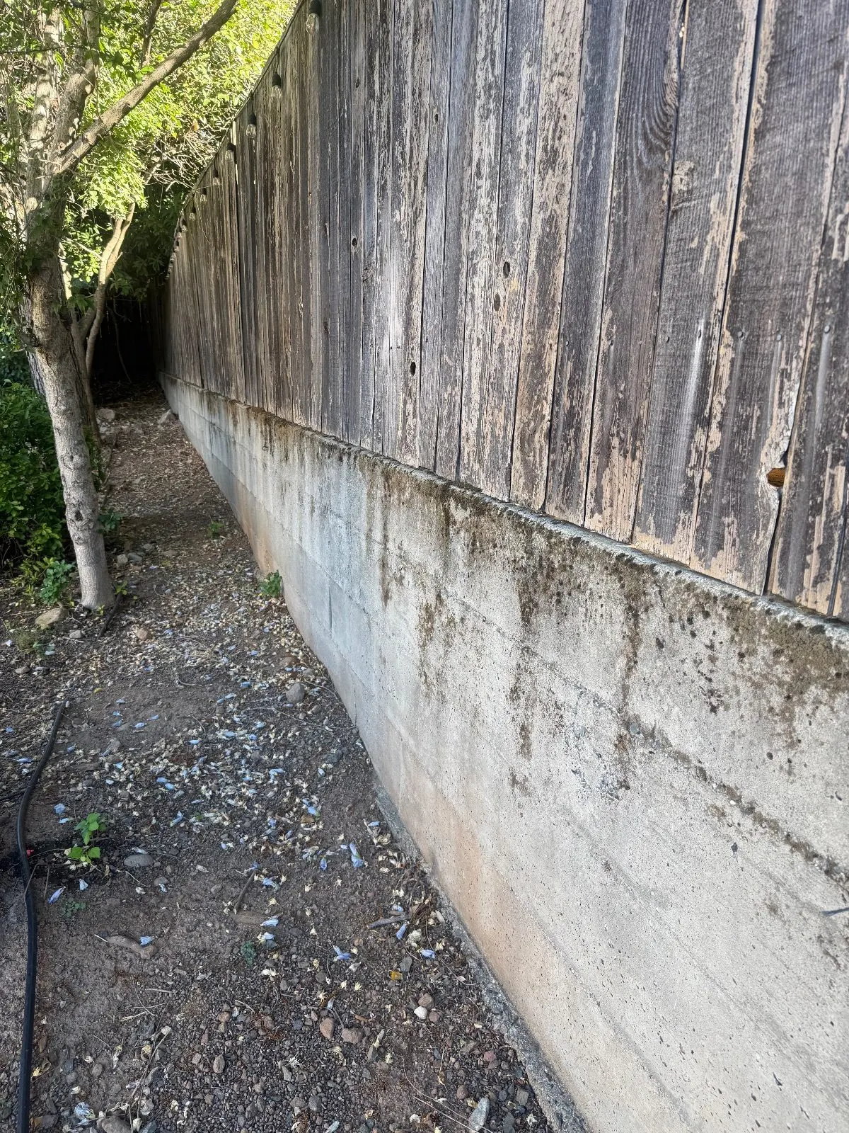 Before — Pressure Washing in Auburn, CA — September 2026