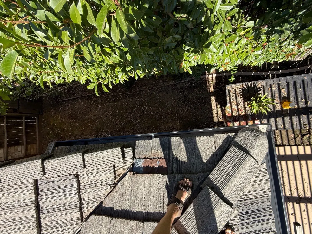 After — Pressure Washing in Auburn, CA — September 2026