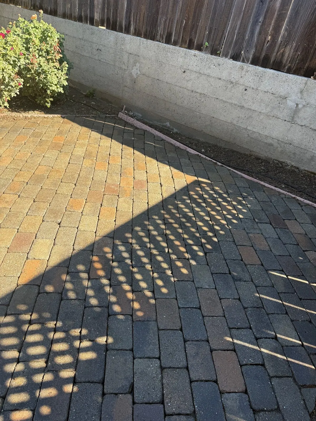 After — Pressure Washing in Auburn, CA — September 2026