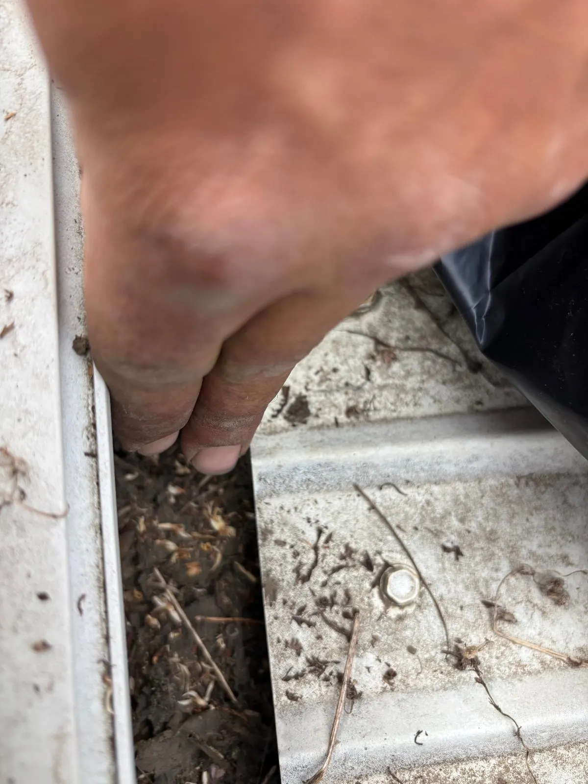 After — Gutter Cleaning and Maintenance in Woodland, CA — July 2026