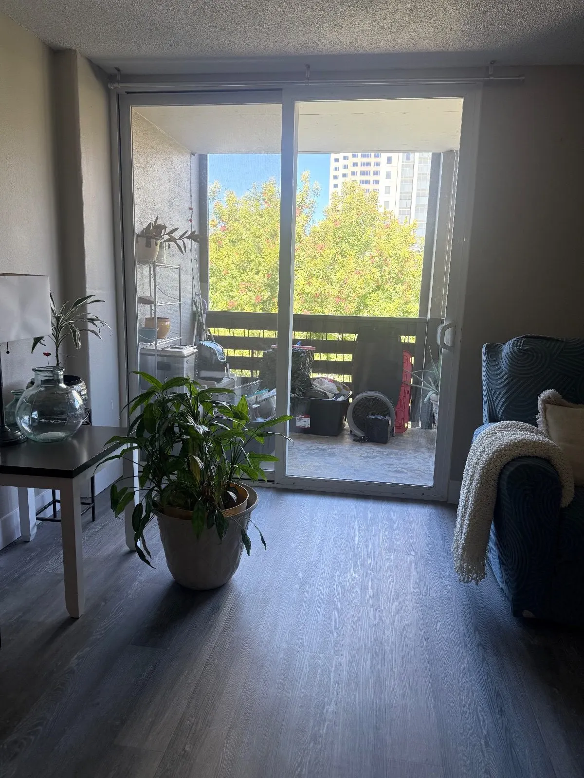 After — House Cleaning in Sacramento, CA — September 2026