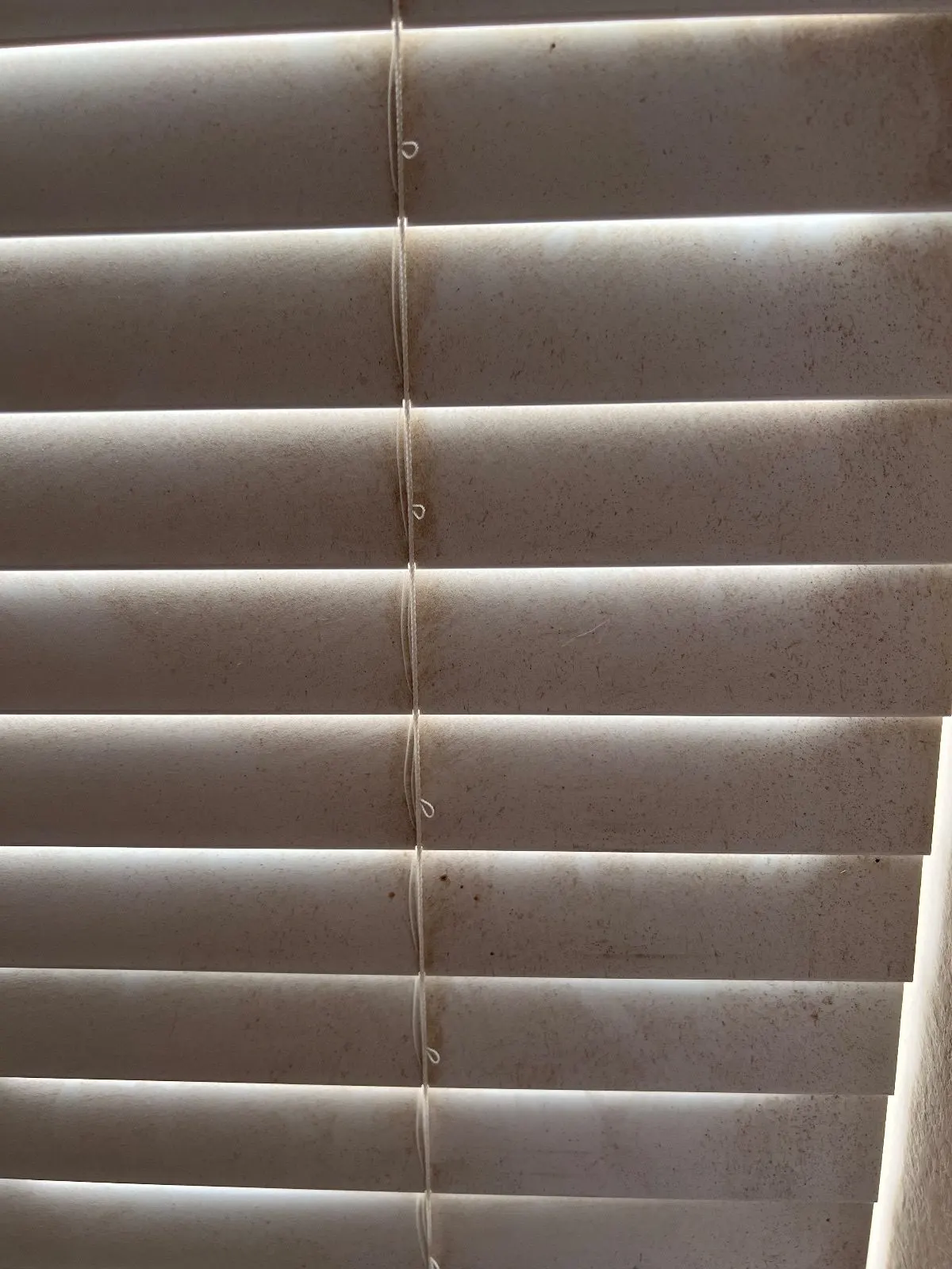 Before — House Cleaning in Folsom, CA — September 2026
