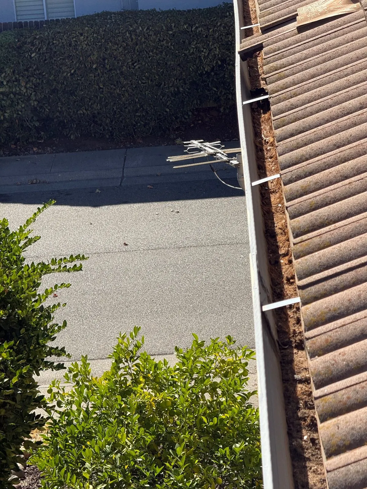 Before — Gutter Cleaning and Maintenance in Rancho Cordova, CA — September 2026