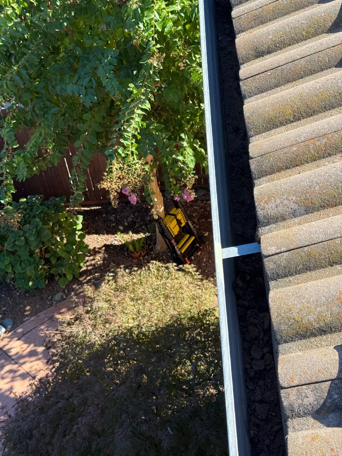 Before — Gutter Cleaning and Maintenance in Rancho Cordova, CA — September 2026