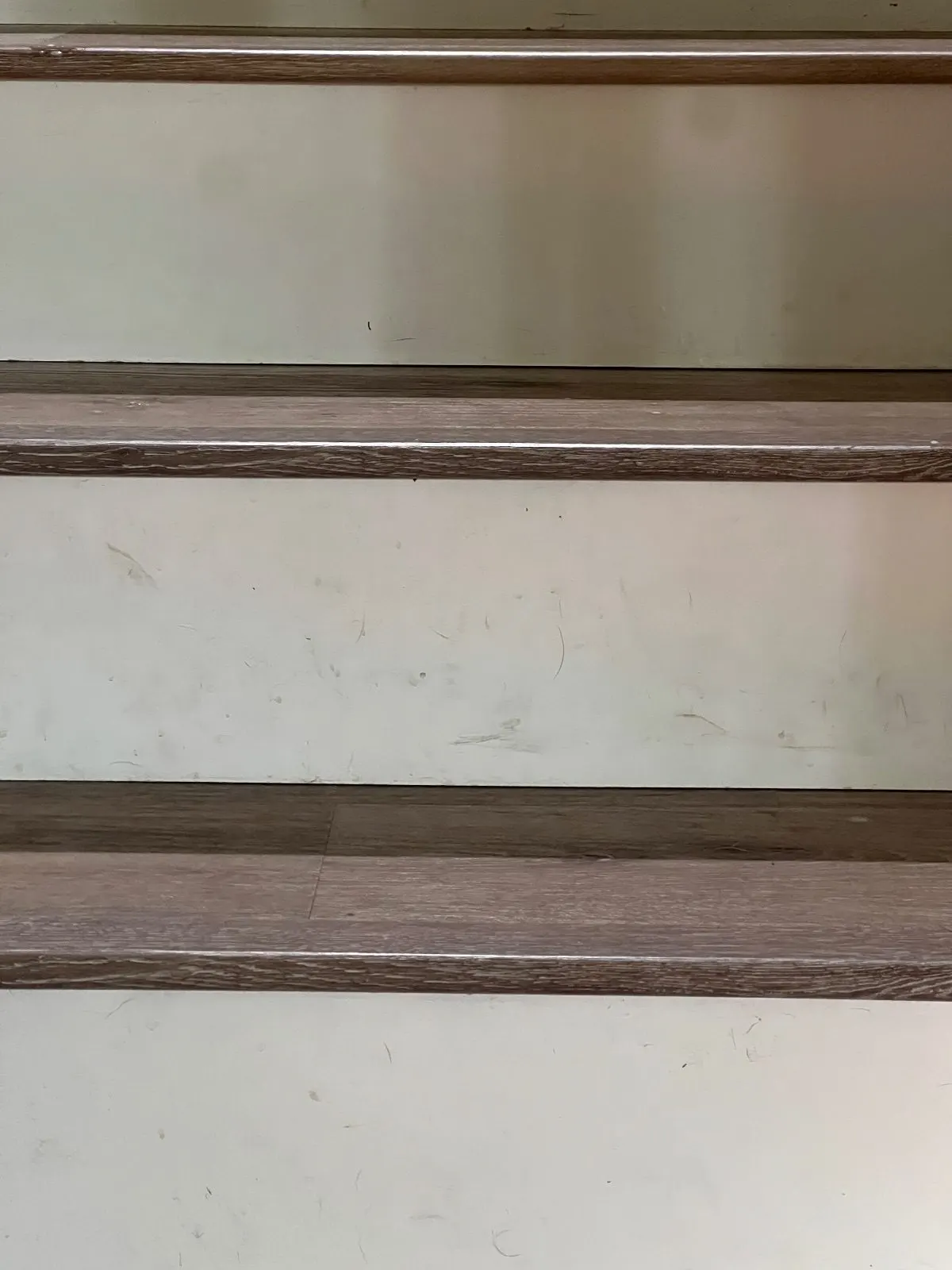 Before — House Cleaning in Folsom, CA — September 2026