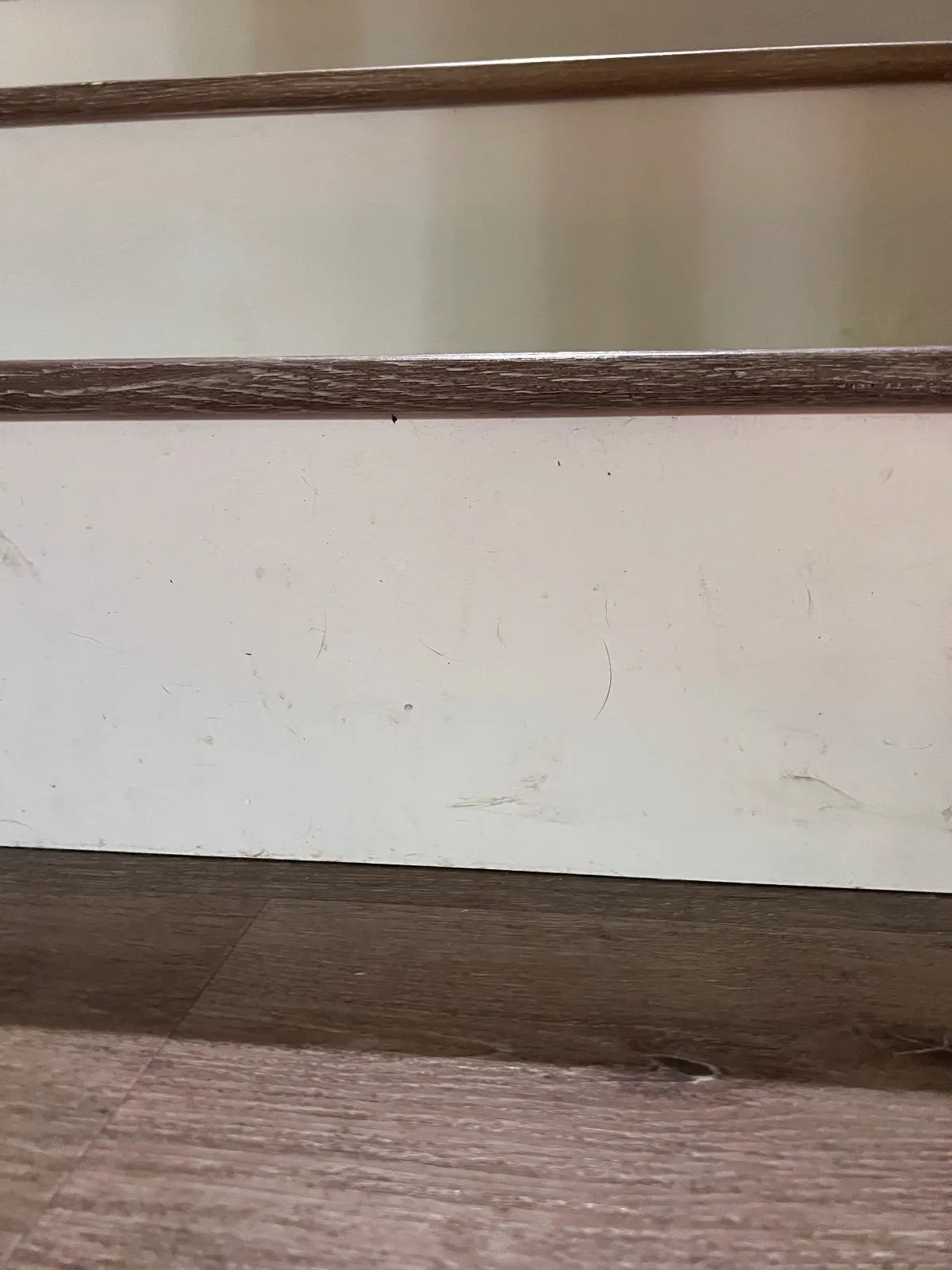 Before — House Cleaning in Folsom, CA — September 2026