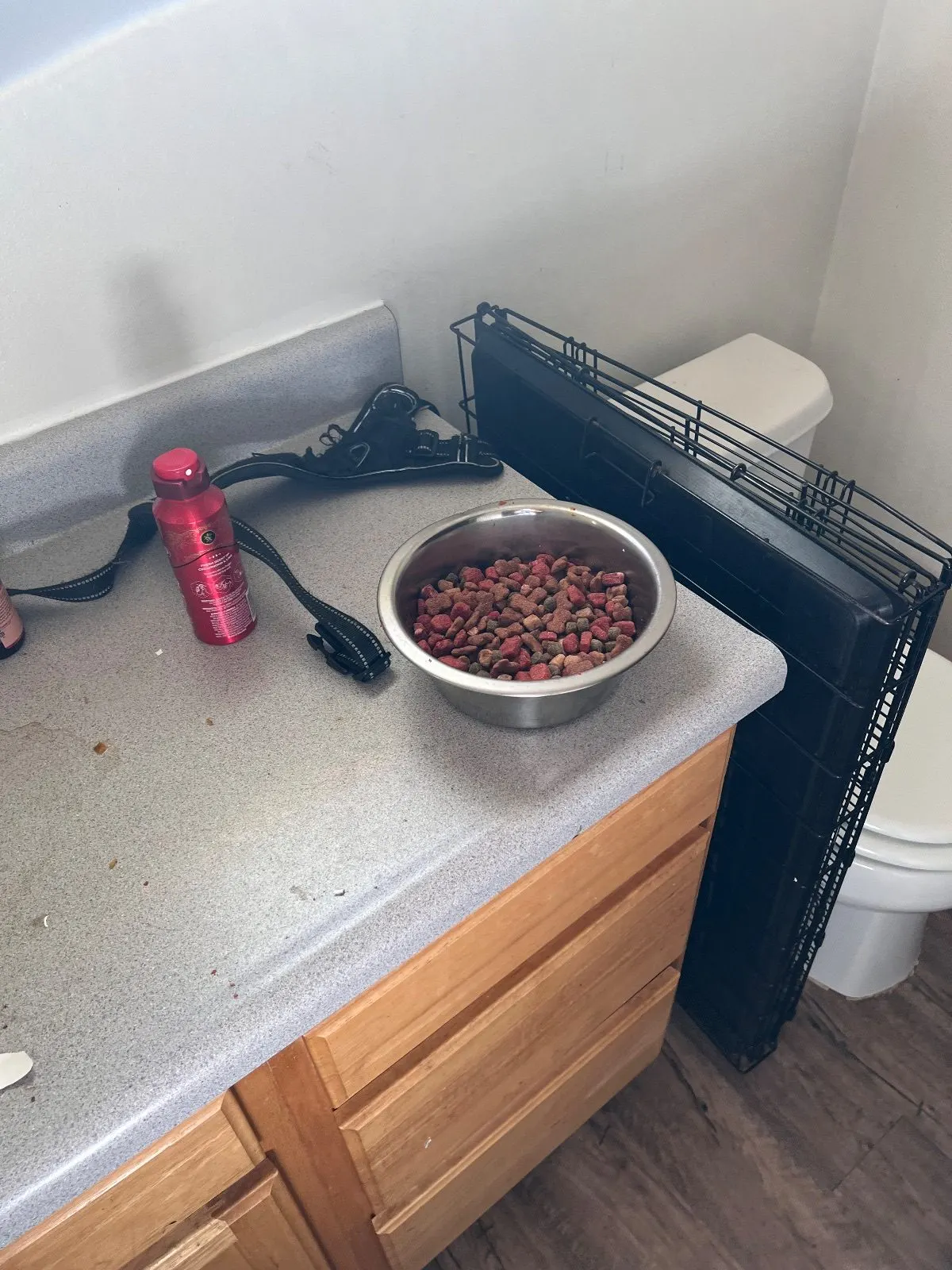 Before — House Cleaning in Davis, CA — October 2026