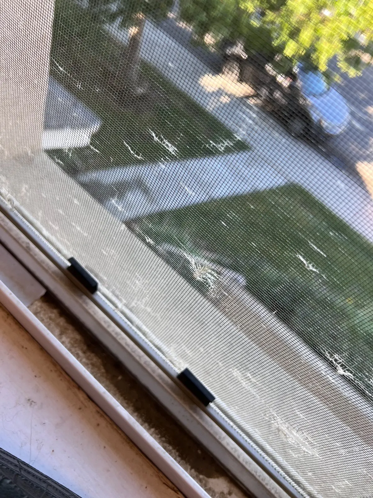 Before — House Cleaning in Davis, CA — October 2026
