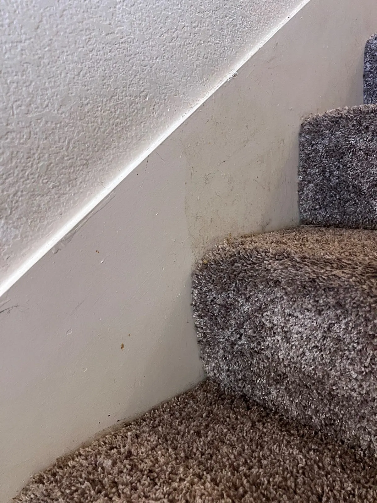 Before — House Cleaning in Davis, CA — October 2026