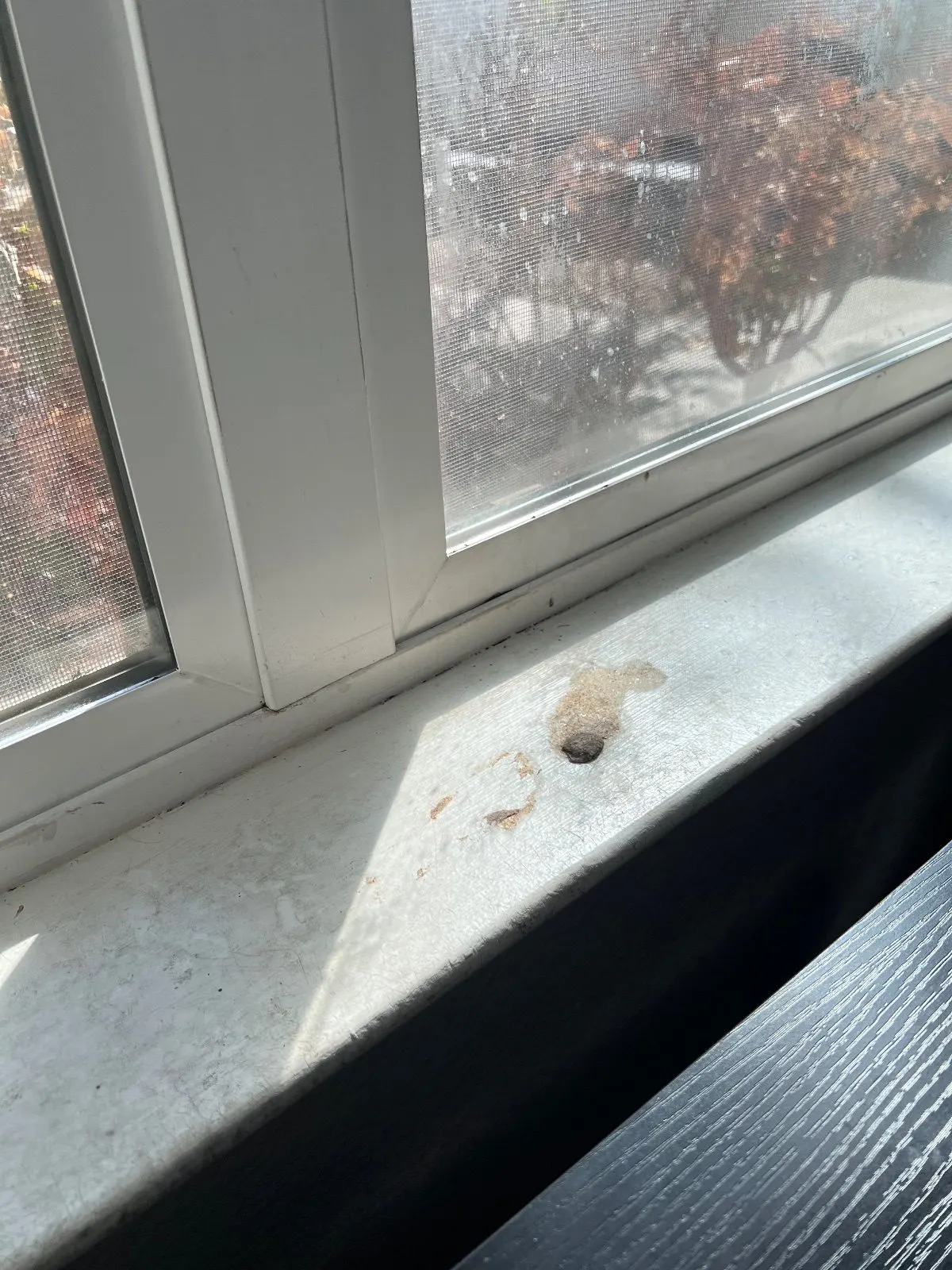 Before — House Cleaning in Davis, CA — October 2026