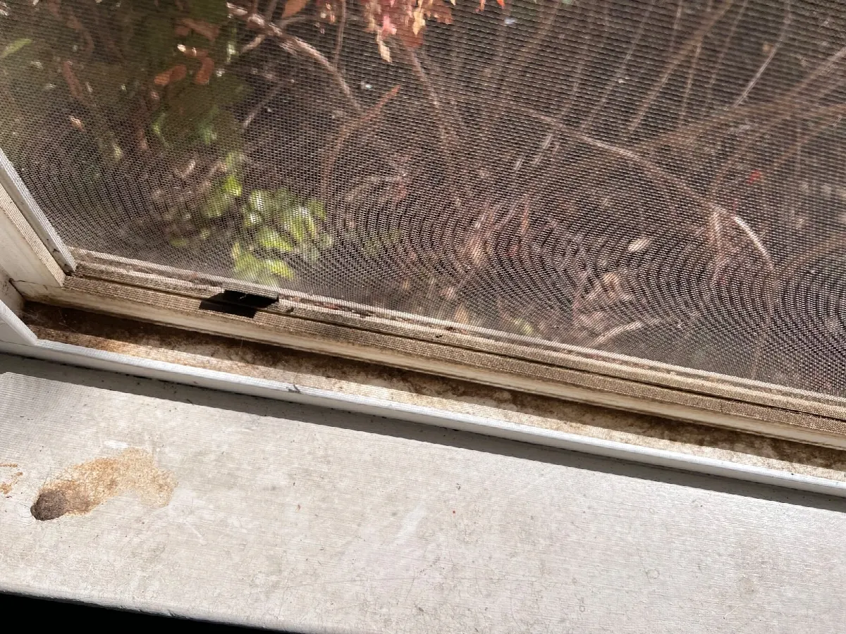 Before — House Cleaning in Davis, CA — October 2026