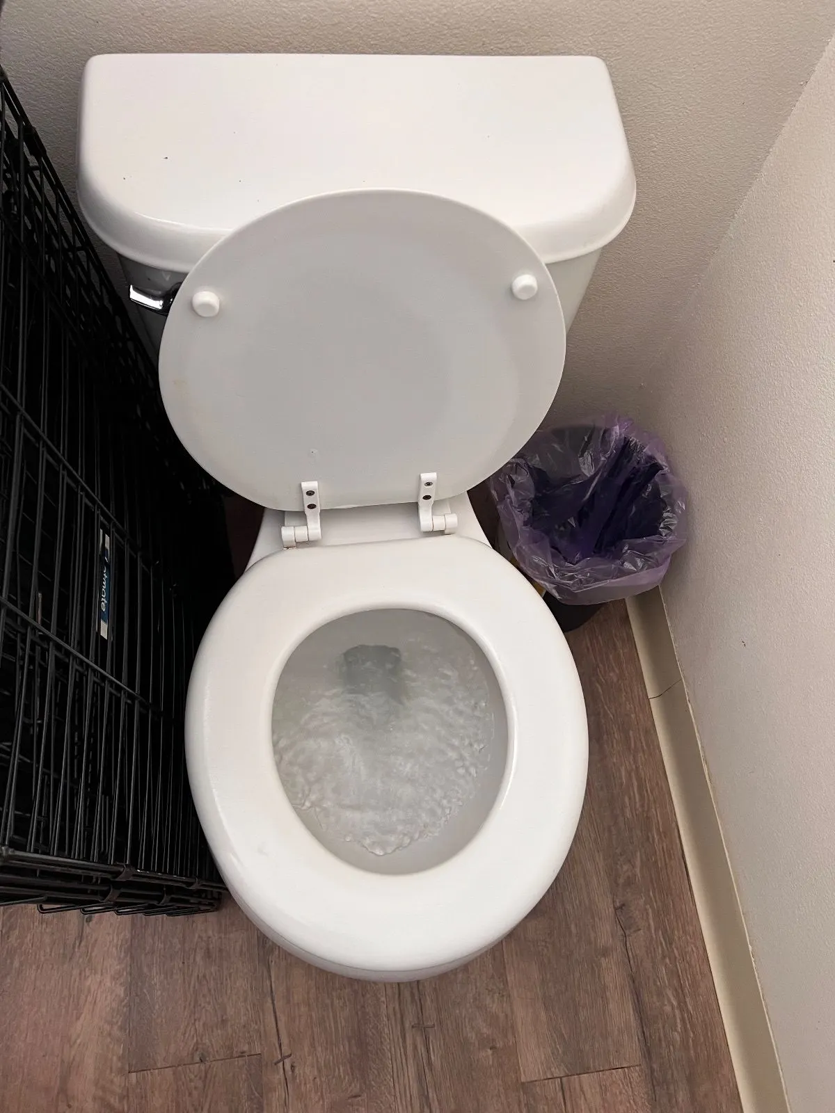 After — House Cleaning in Davis, CA — October 2026