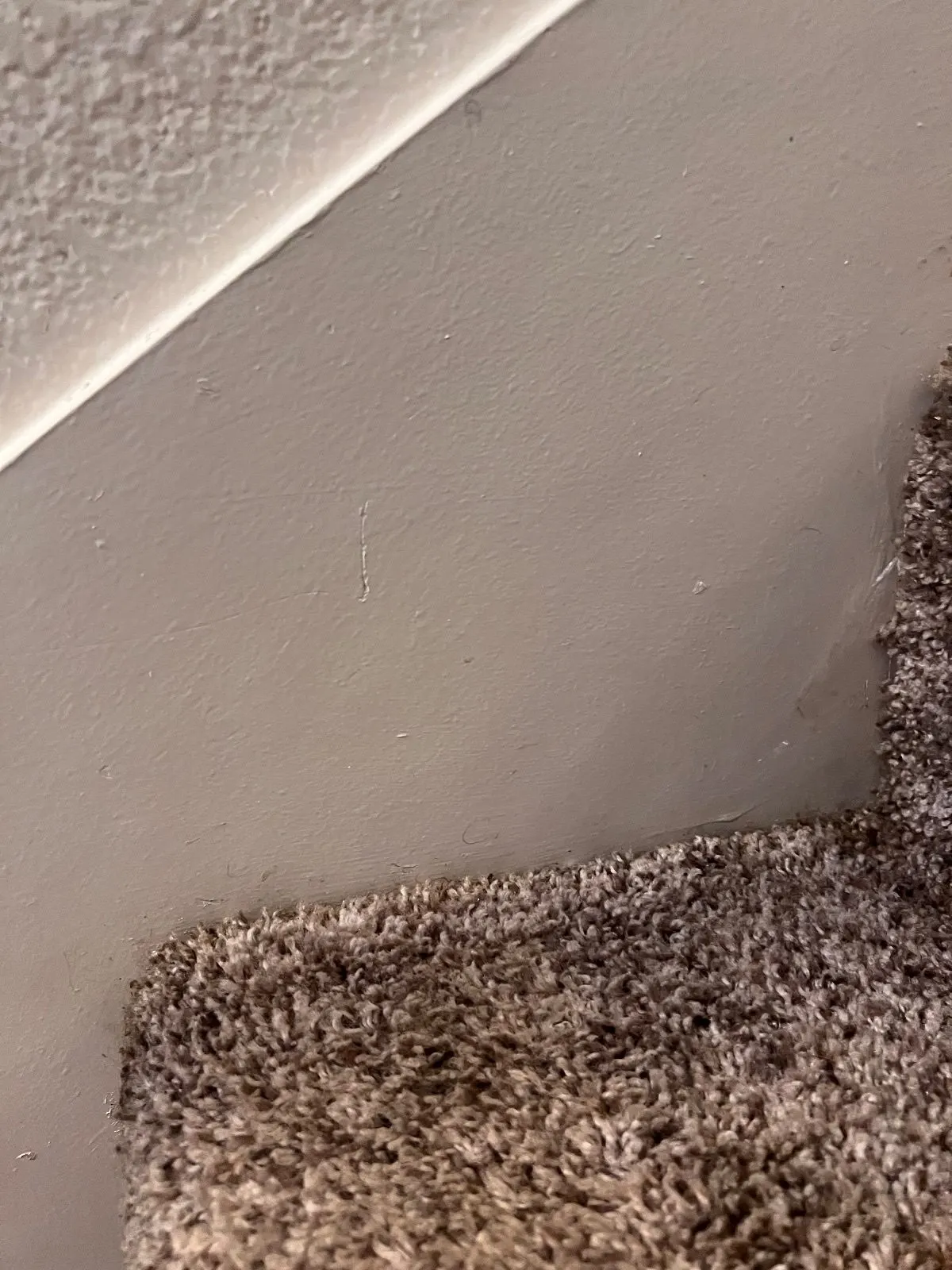 After — House Cleaning in Davis, CA — October 2026