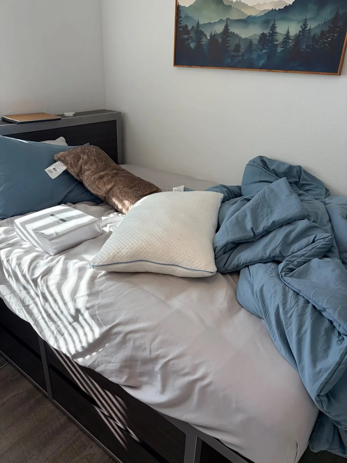 Before — House Cleaning in Davis, CA — October 2026