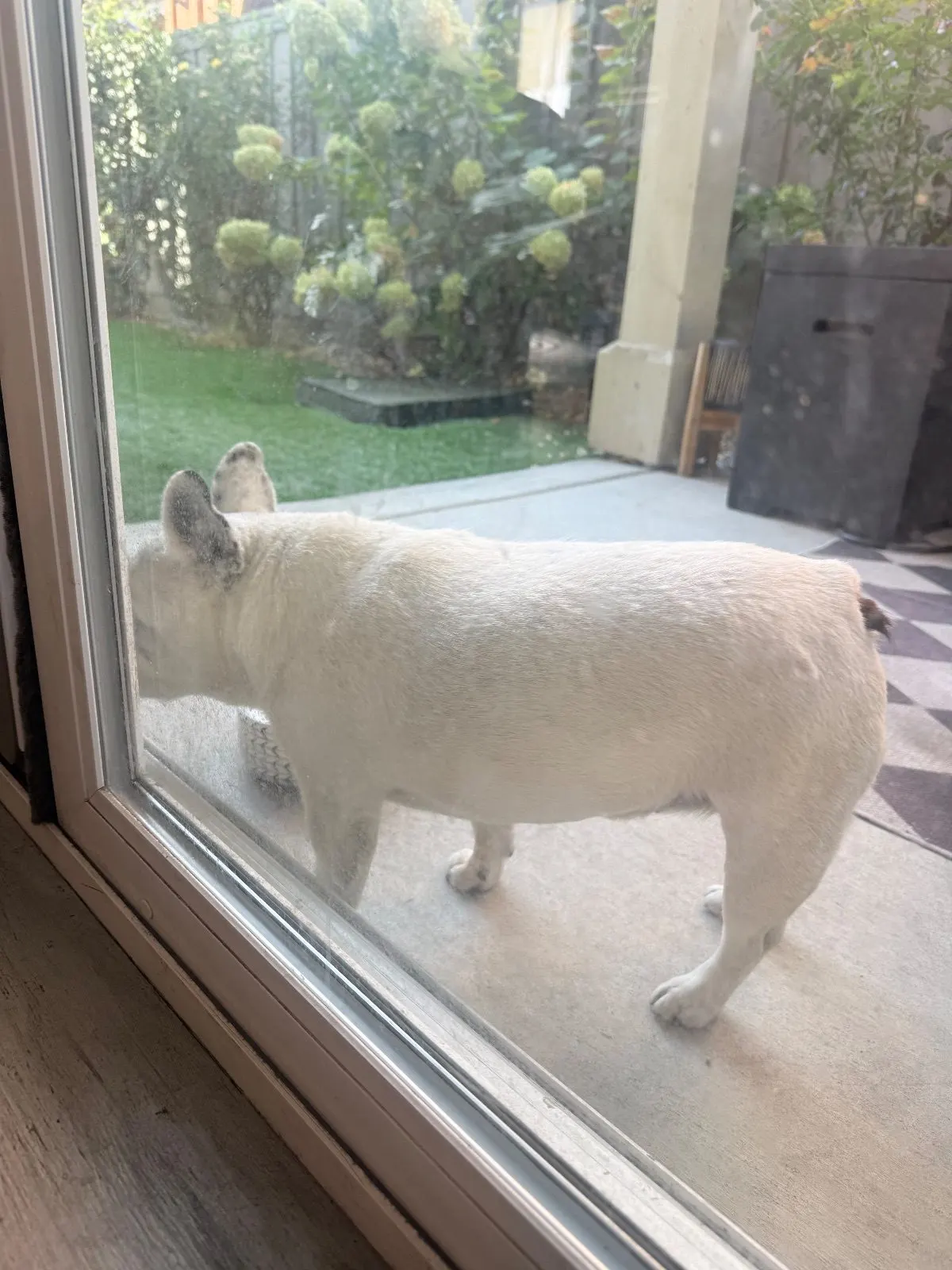 Before — House Cleaning in Sacramento, CA — October 2026