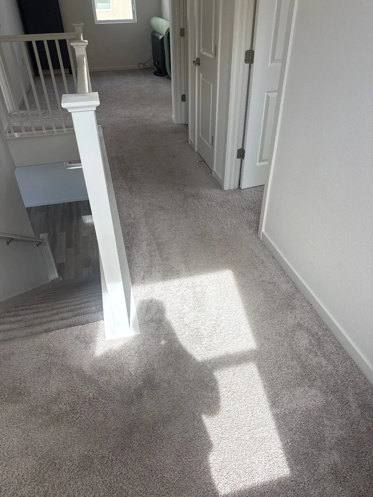 Before — Carpet Cleaning in Folsom, CA — October 2026