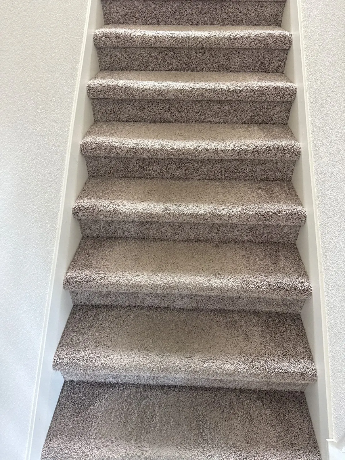 Before — Carpet Cleaning in Folsom, CA — October 2026