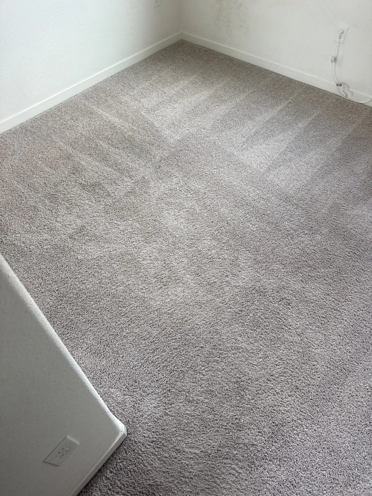 Before — Carpet Cleaning in Folsom, CA — October 2026