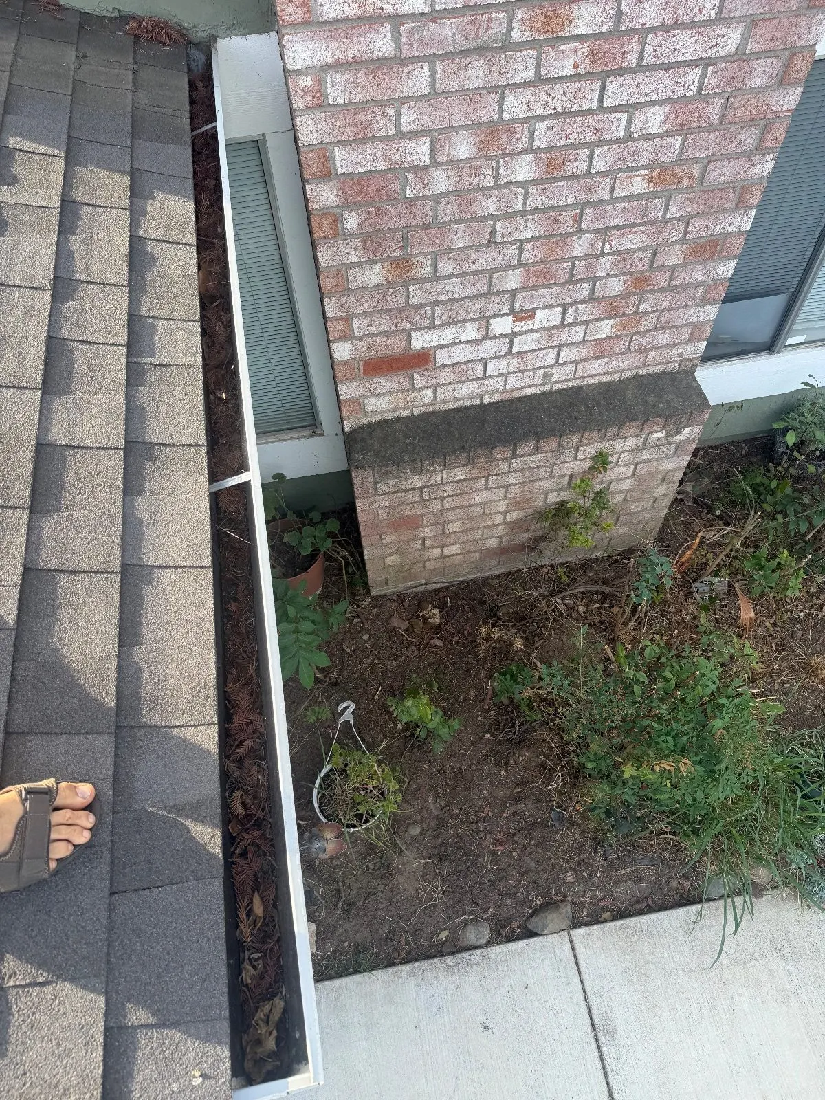 Before — Gutter Cleaning and Maintenance in Elk Grove, CA — October 2026