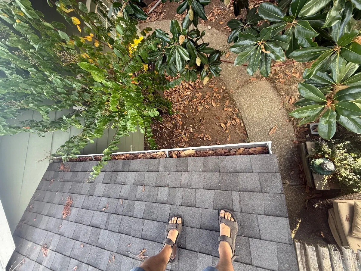 Before — Gutter Cleaning and Maintenance in Elk Grove, CA — October 2026