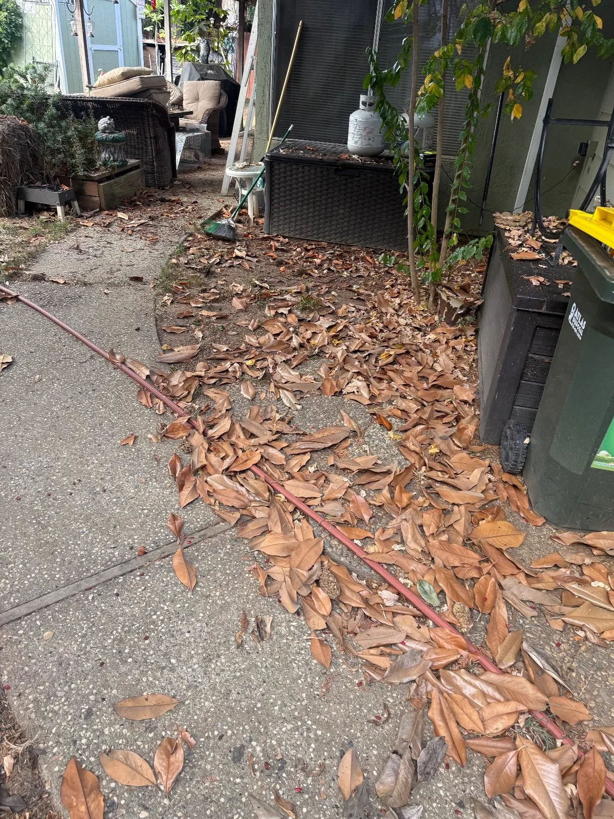 Before — Gutter Cleaning and Maintenance in Elk Grove, CA — October 2026
