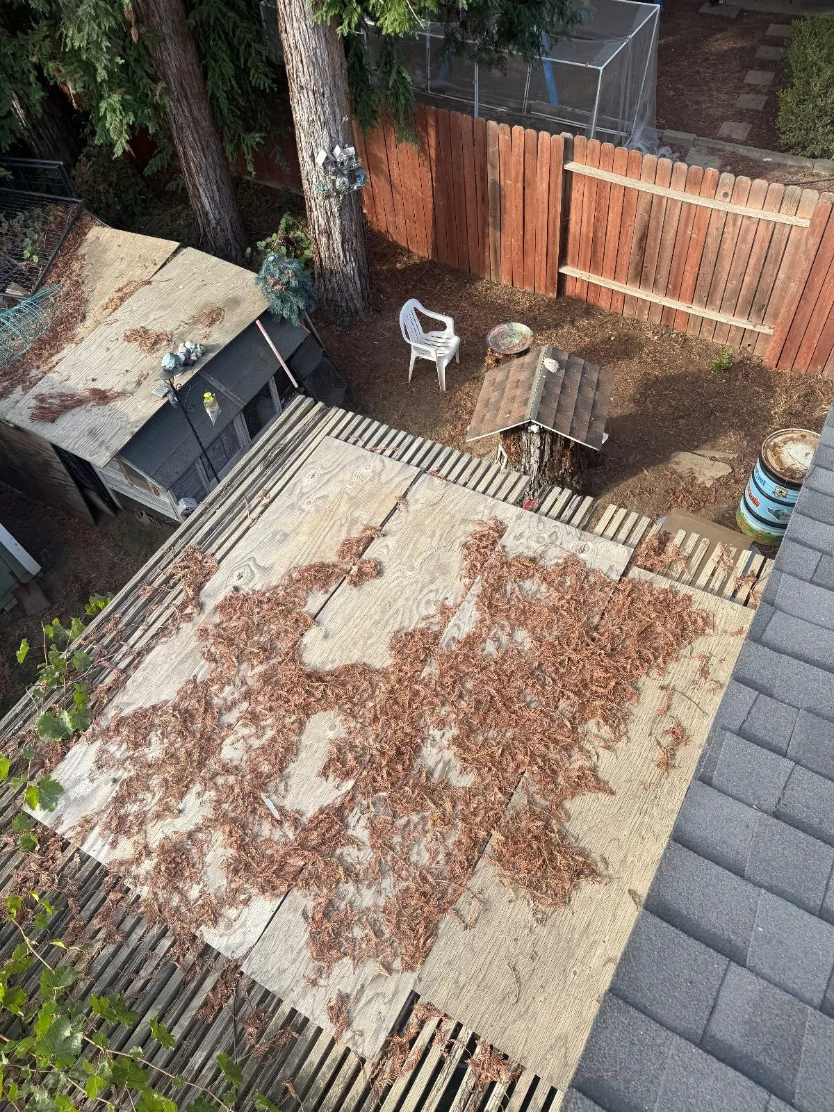 Before — Gutter Cleaning and Maintenance in Elk Grove, CA — October 2026