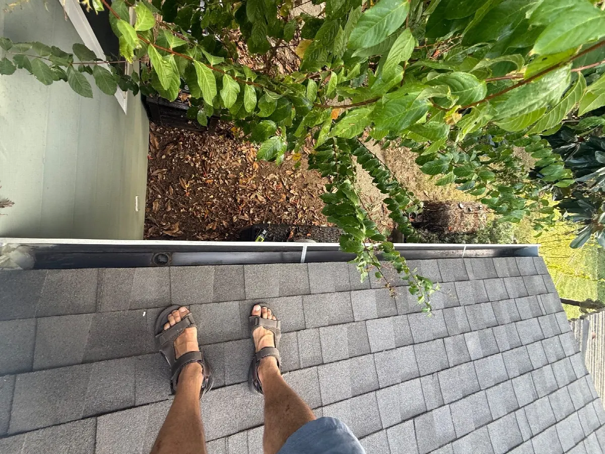 After — Gutter Cleaning and Maintenance in Elk Grove, CA — October 2026