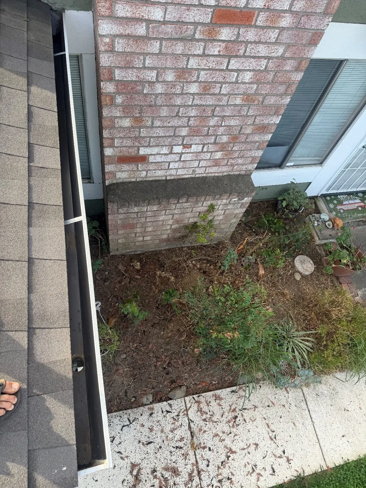 After — Gutter Cleaning and Maintenance in Elk Grove, CA — October 2026