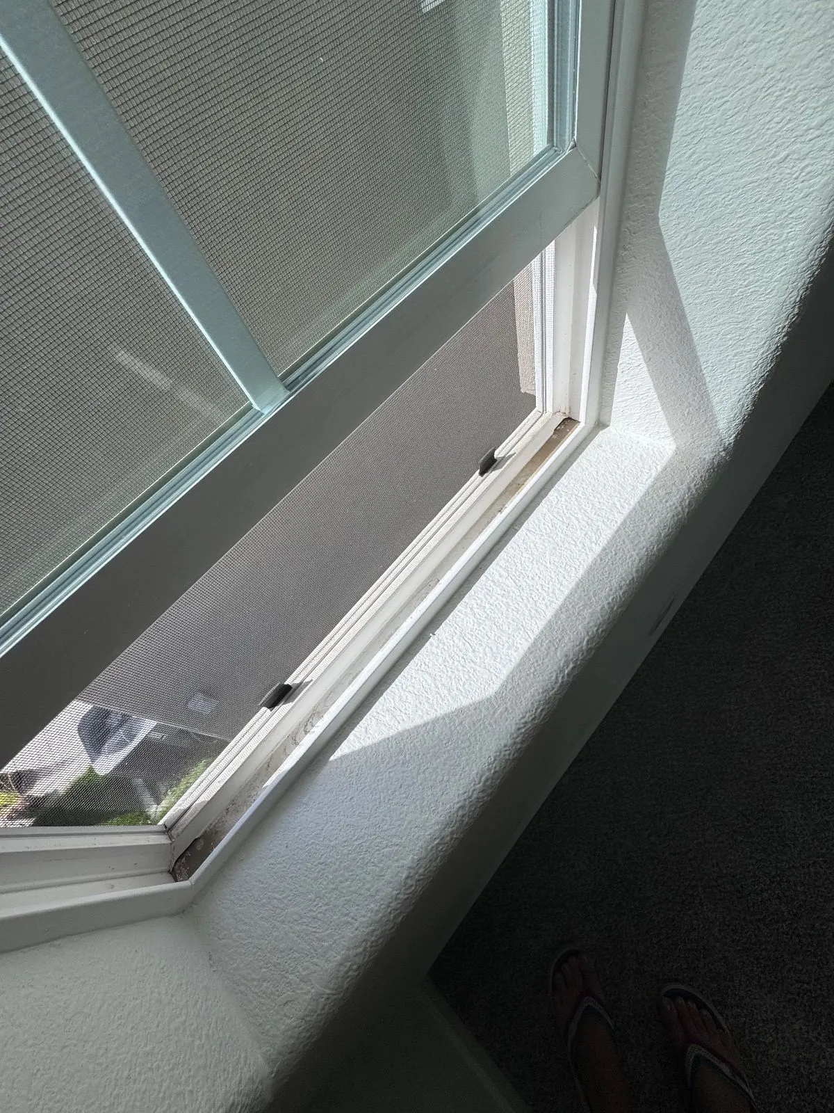 Before — House Cleaning in Roseville, CA — October 2026