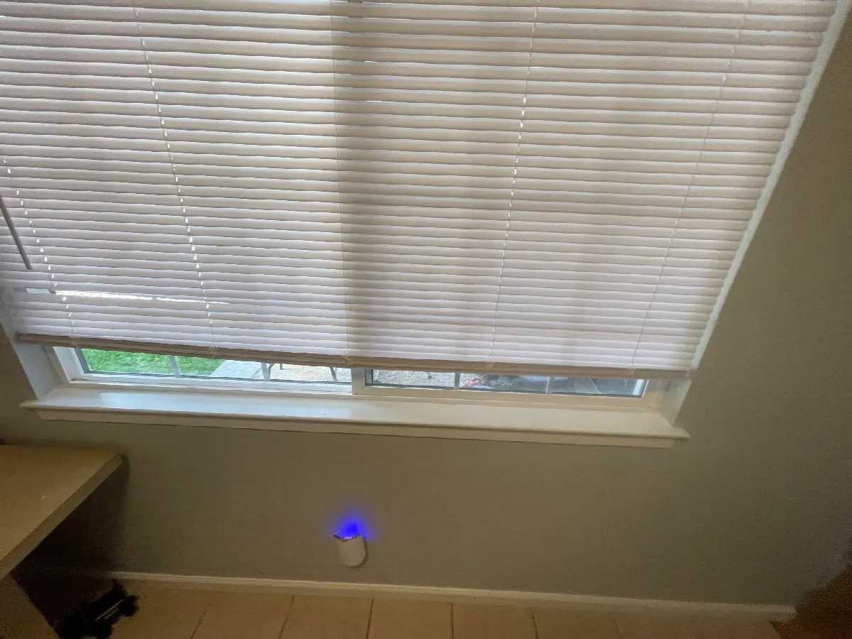 After — House Cleaning in Davis, CA — October 2026