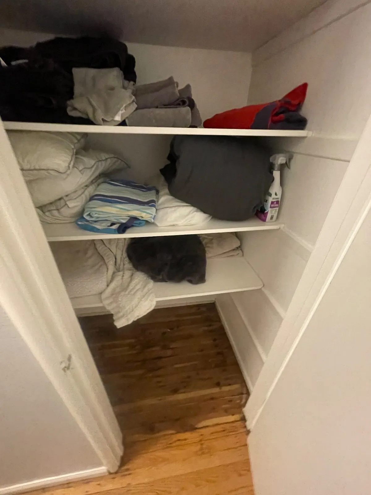 After — House Cleaning in Davis, CA — October 2026