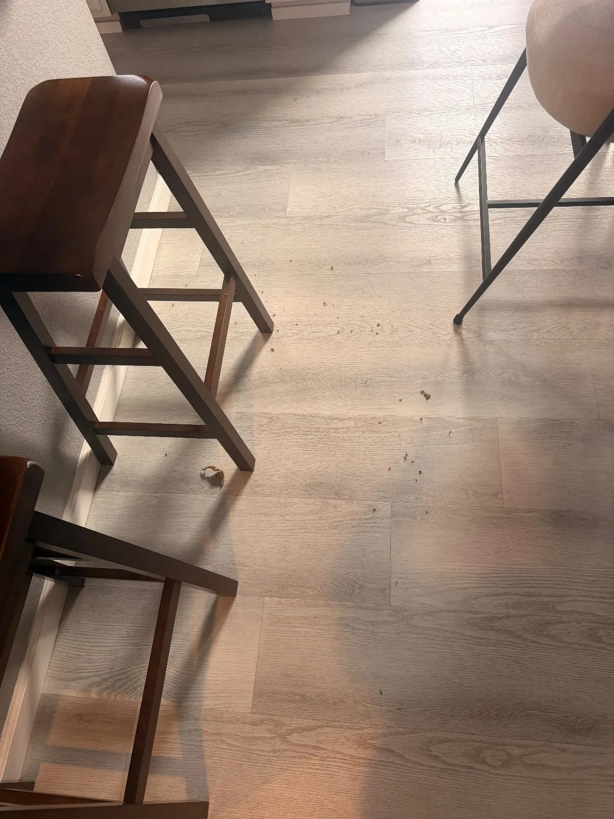 Before — House Cleaning in West Sacramento, CA — October 2026