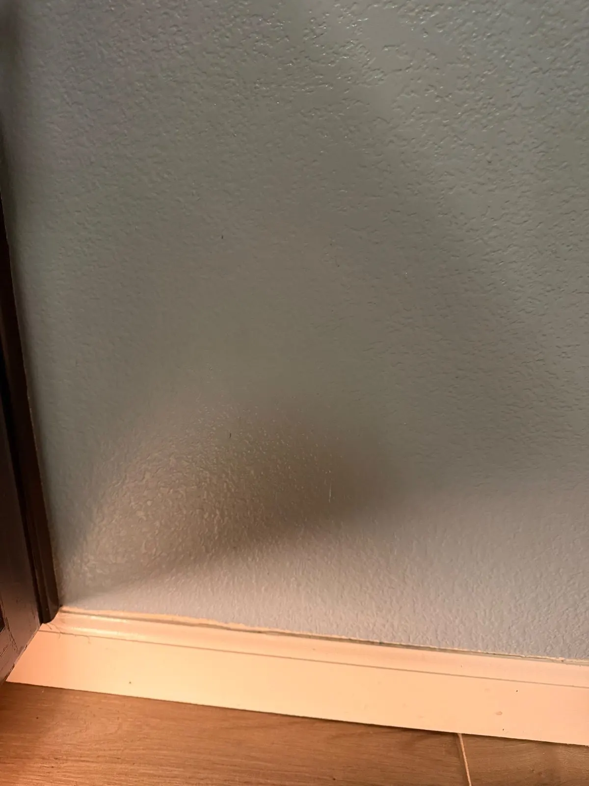After — House Cleaning in West Sacramento, CA — October 2026