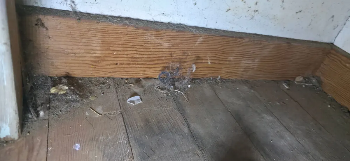 Before — House Cleaning in Sacramento, CA — July 2026