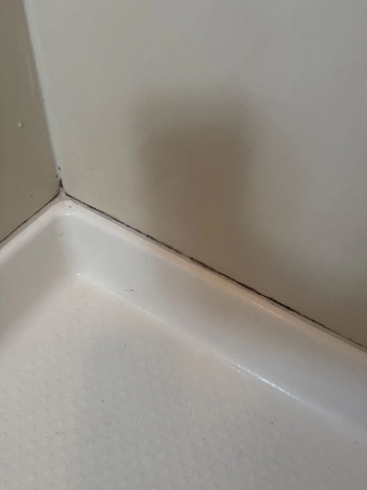 Before — House Cleaning in Orangevale, CA — October 2026