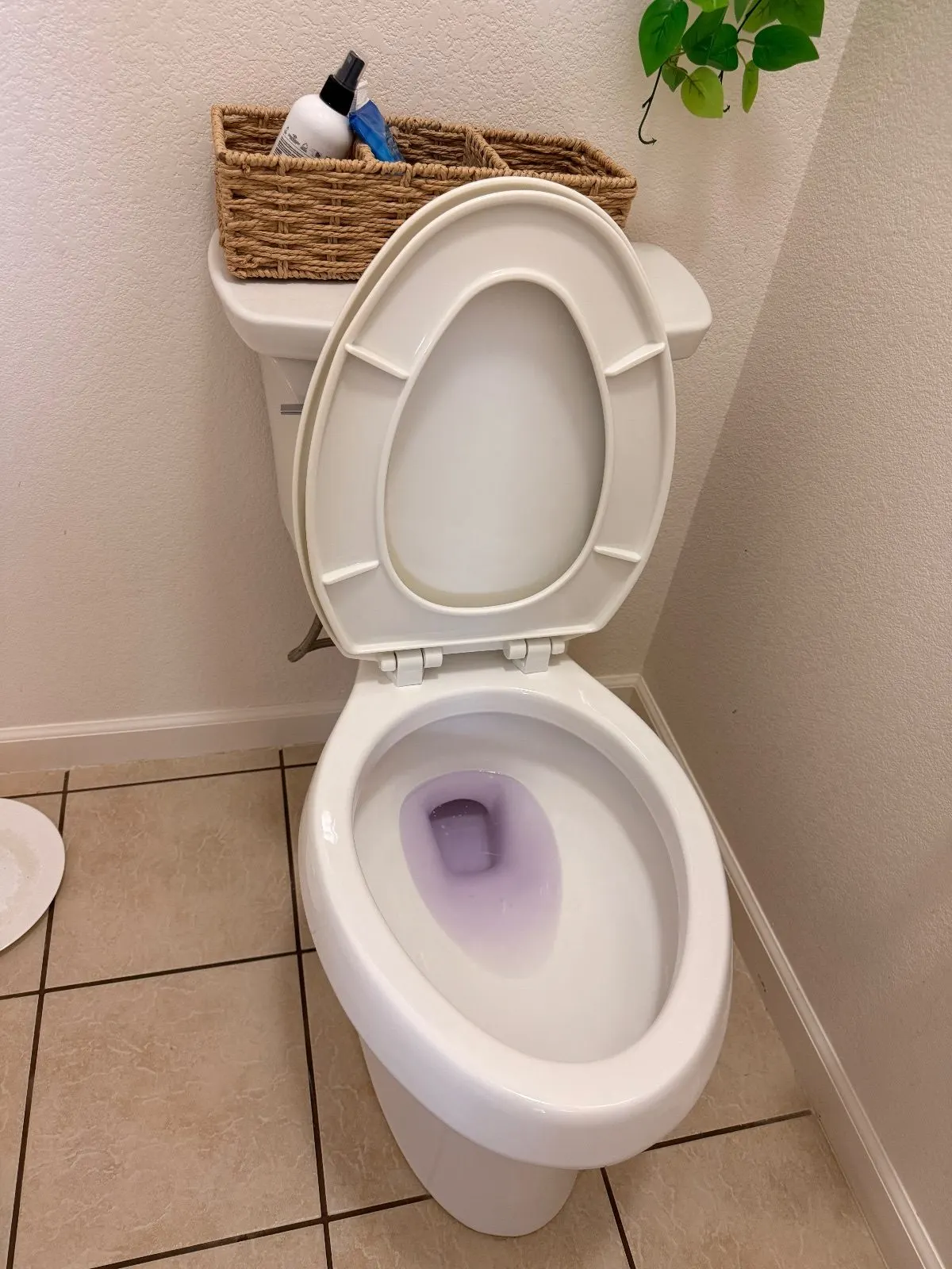 After — House Cleaning in West Sacramento, CA — October 2026